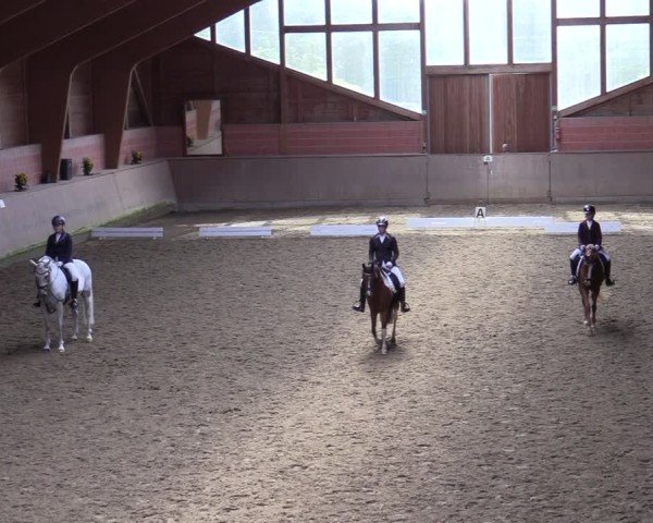 Reitturnier Dortmund-Barop 2024