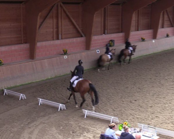 Reitturnier Dortmund-Barop 2024