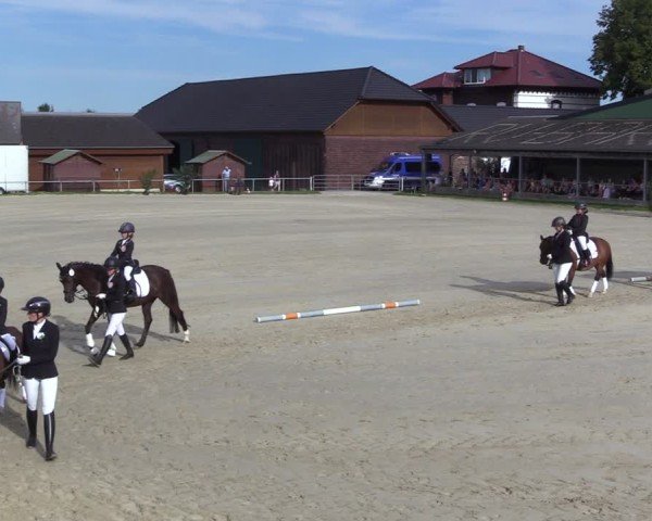 Reitturnier Dortmund-Barop 2024