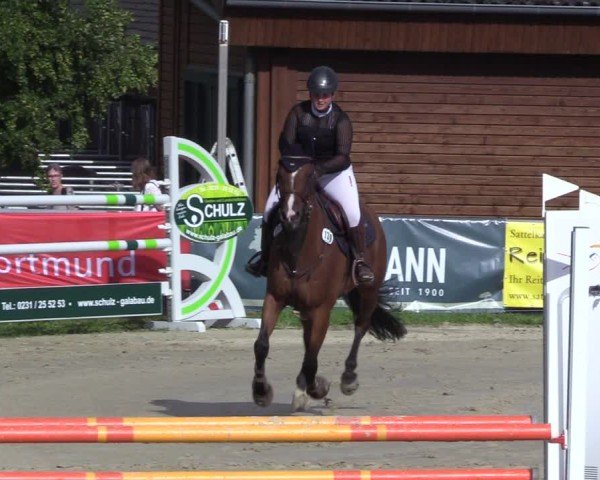 Reitturnier Dortmund-Barop 2024