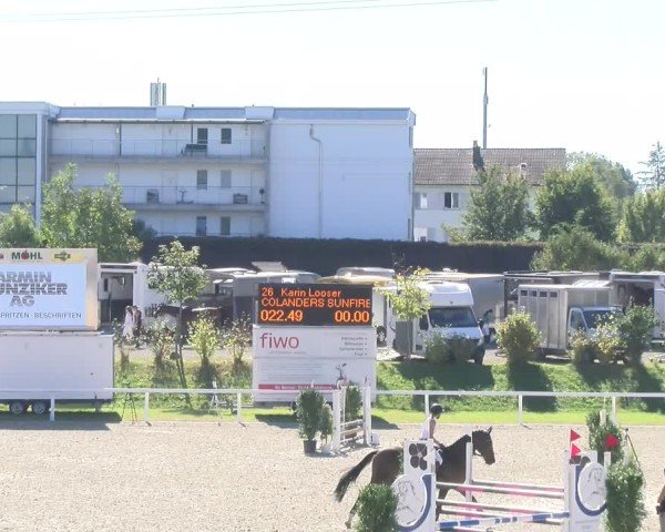 Reitturnier Bülach 2024