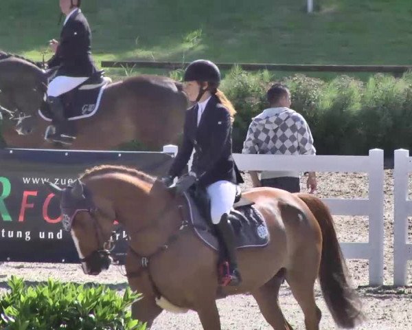Landeschampionat Baden-Württemberg 2013