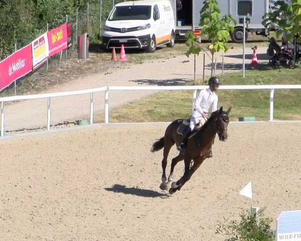 Reitturnier Bülach 2024