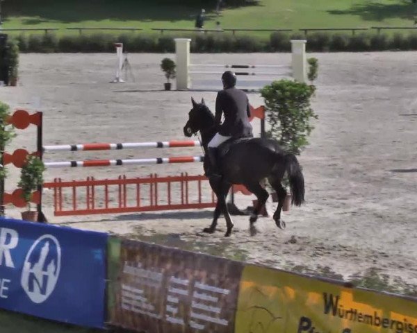 Landeschampionat Baden-Württemberg 2013