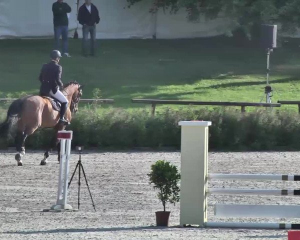 Landeschampionat Baden-Württemberg 2013