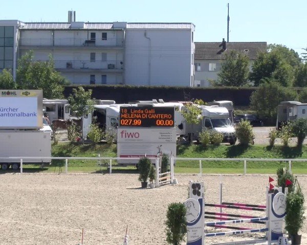 Reitturnier Bülach 2024
