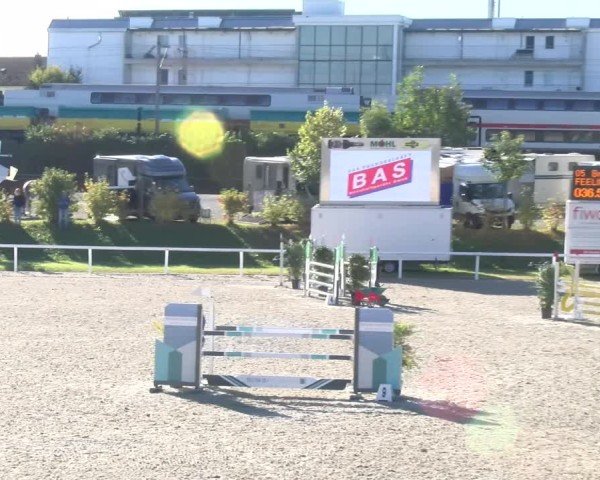 Reitturnier Bülach 2024