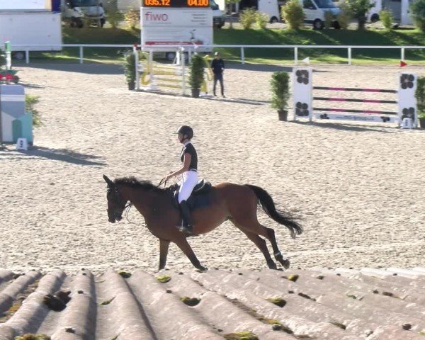 Reitturnier Bülach 2024