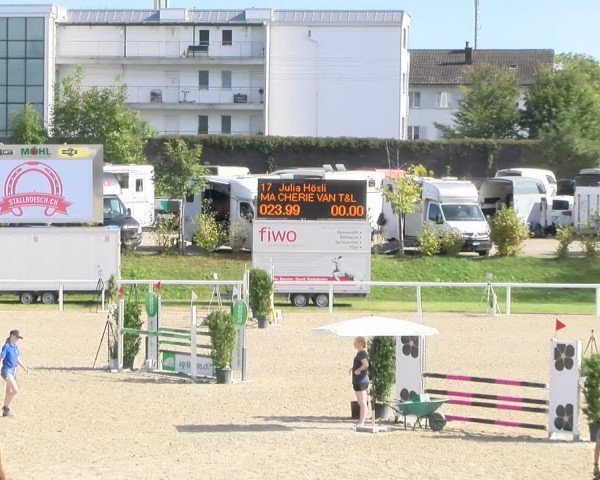 Reitturnier Bülach 2024