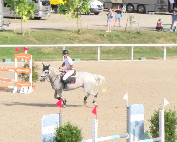 Reitturnier Bülach 2024