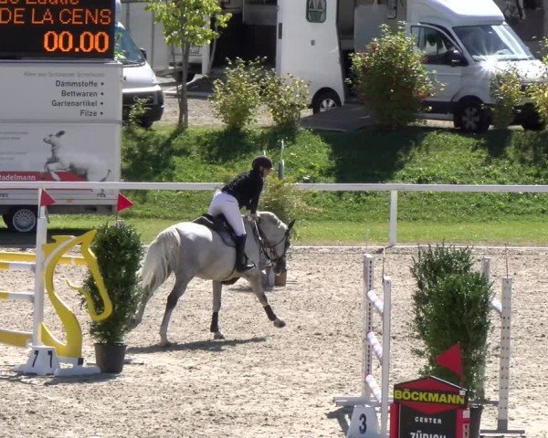 Reitturnier Bülach 2024