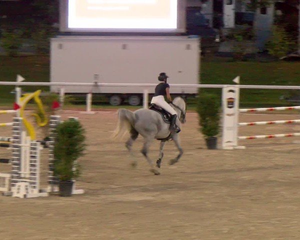 Reitturnier Bülach 2024