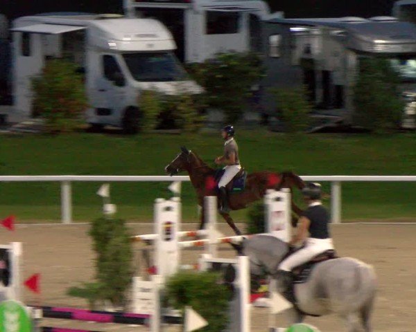Reitturnier Bülach 2024