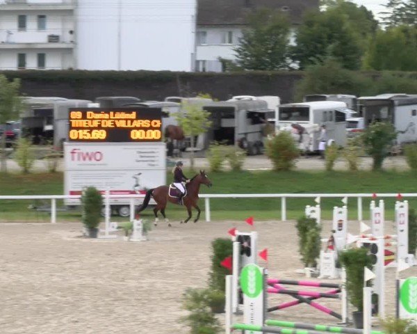 Reitturnier Bülach 2024