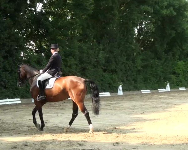 Sommerturnier Dülken-Viersen 2013