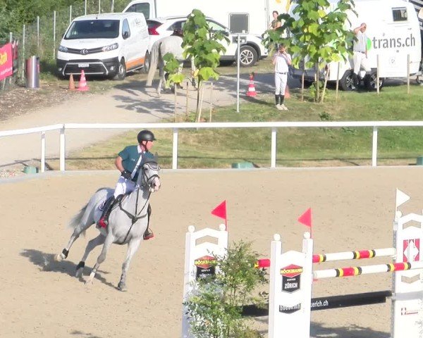Reitturnier Bülach 2024