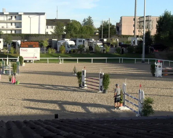 Reitturnier Bülach 2024