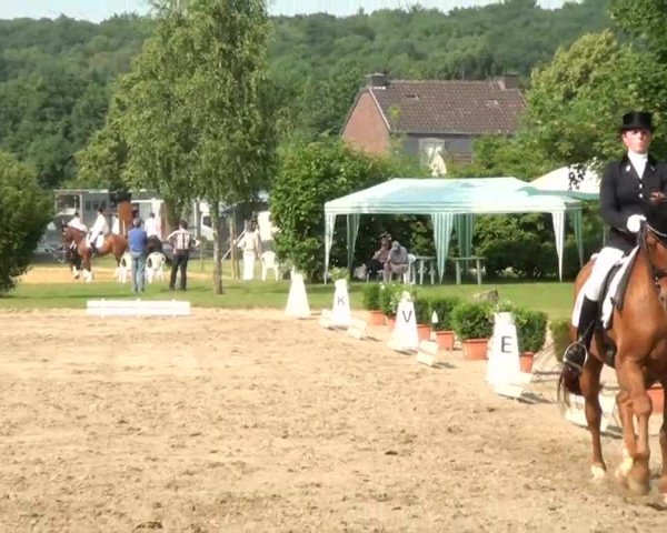Sommerturnier Dülken-Viersen 2013