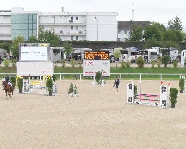 Reitturnier Bülach 2024