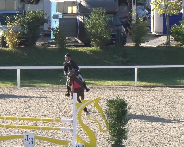 Reitturnier Bülach 2024