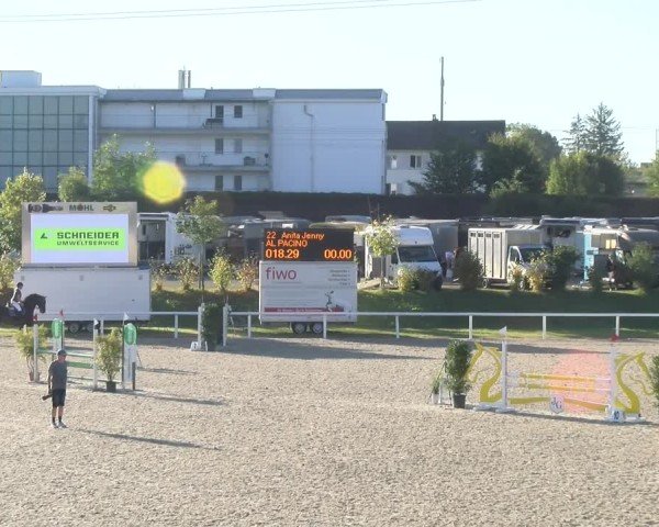 Reitturnier Bülach 2024