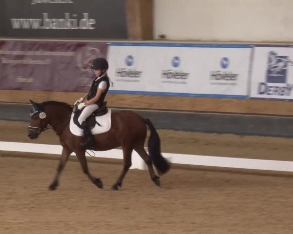 Reitturnier München-Riem/Obb. 2024