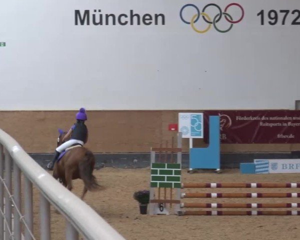 Reitturnier München-Riem/Obb. 2024