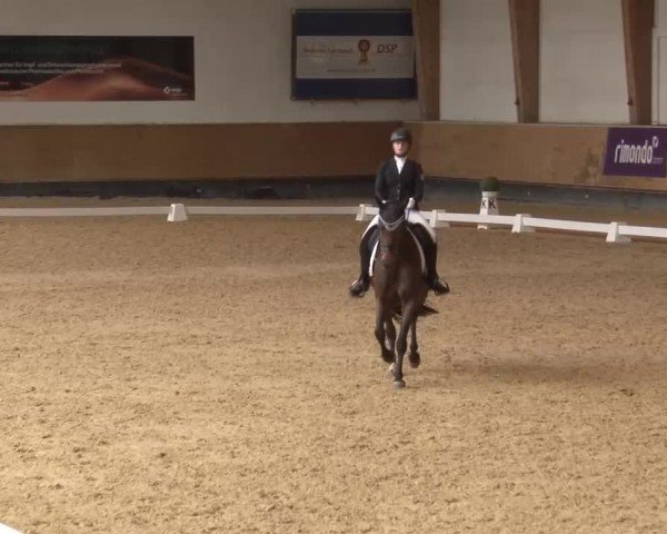 Reitturnier München-Riem/Obb. 2024