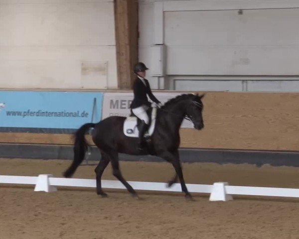 Reitturnier München-Riem/Obb. 2024