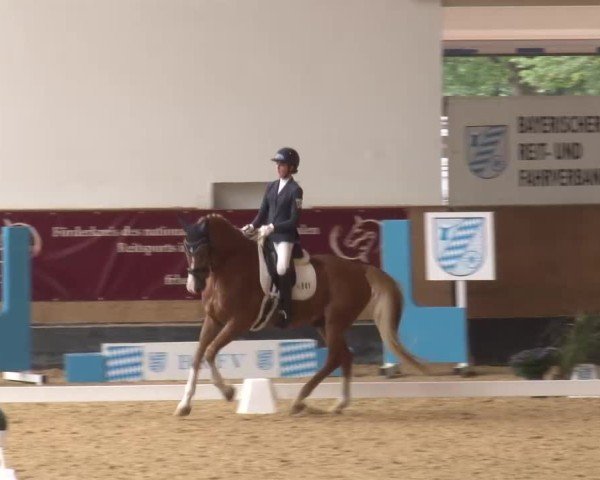 Reitturnier München-Riem/Obb. 2024