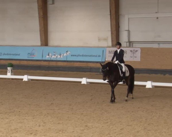Reitturnier München-Riem/Obb. 2024
