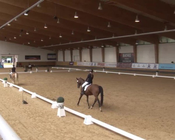 Reitturnier München-Riem/Obb. 2024