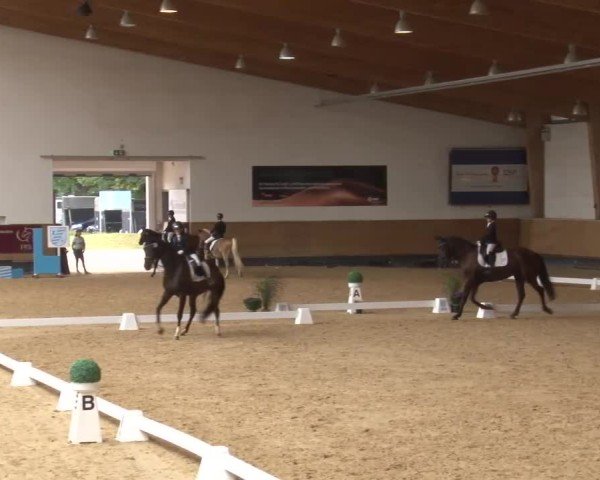 Reitturnier München-Riem/Obb. 2024