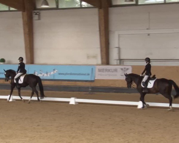 Reitturnier München-Riem/Obb. 2024