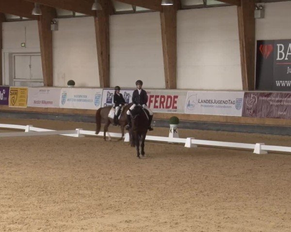 Reitturnier München-Riem/Obb. 2024