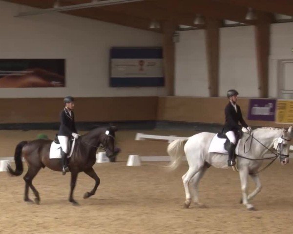 Reitturnier München-Riem/Obb. 2024
