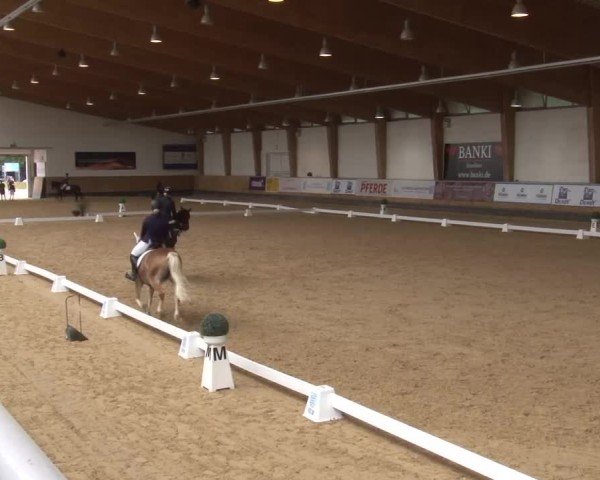 Reitturnier München-Riem/Obb. 2024