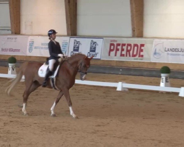 Reitturnier München-Riem/Obb. 2024