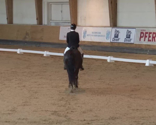 Reitturnier München-Riem/Obb. 2024