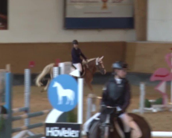 Reitturnier München-Riem/Obb. 2024