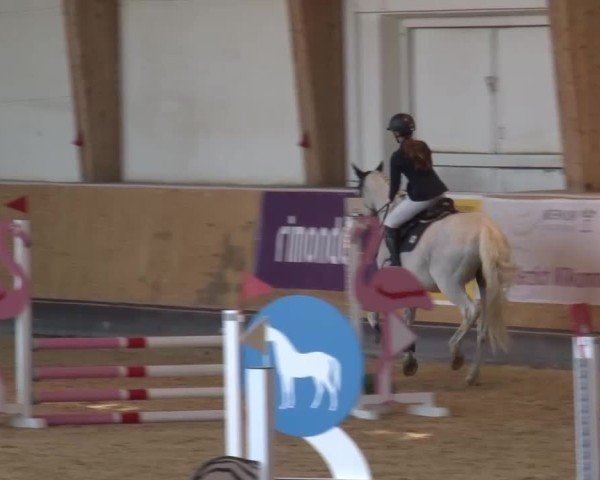 Reitturnier München-Riem/Obb. 2024