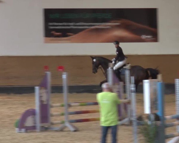 Reitturnier München-Riem/Obb. 2024