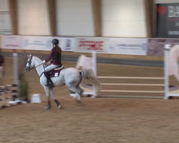 Reitturnier München-Riem/Obb. 2024