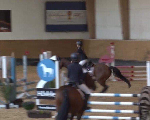 Reitturnier München-Riem/Obb. 2024