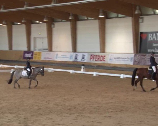 Reitturnier München-Riem/Obb. 2024