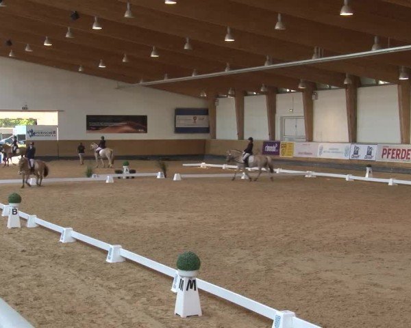 Reitturnier München-Riem/Obb. 2024