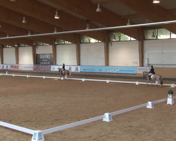 Reitturnier München-Riem/Obb. 2024