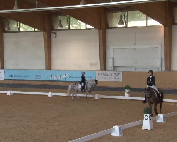Reitturnier München-Riem/Obb. 2024
