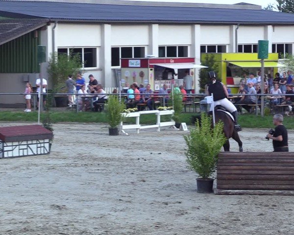 Reitturnier Dortmund-Barop 2024