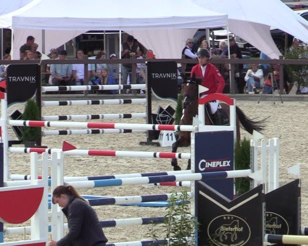 Reitturnier Leichlingen-Witzhelden 2024